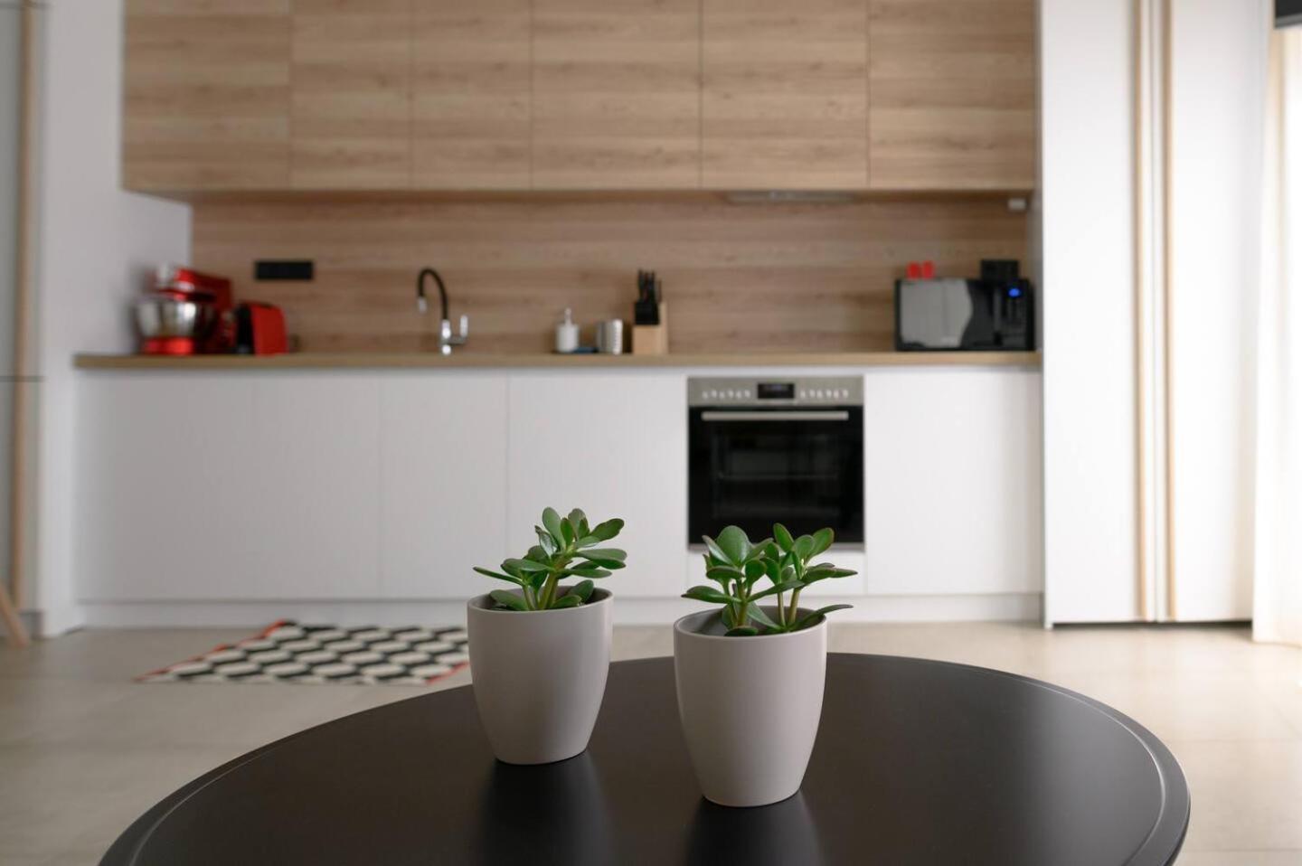 Lighthouse Apartments أليكسانثيربوليس المظهر الخارجي الصورة